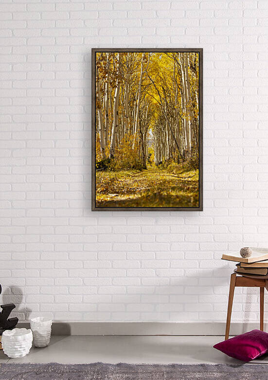 Autumns Path by Chris Casanova