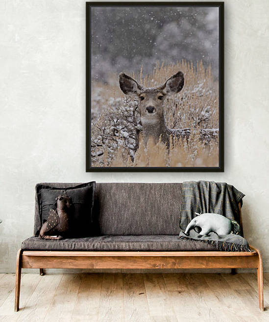 Snow Doe by Chris Casanova