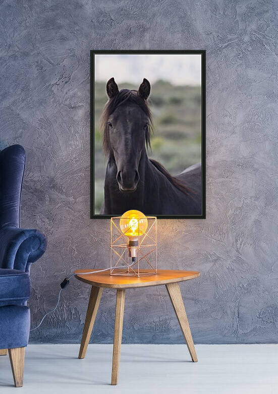 Horse Portrait by Chris Casanova