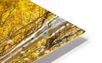 Autumns Path HD Metal print