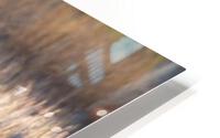 Spirit HD Metal print