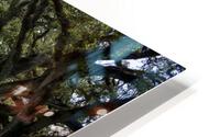 IMG 4030 HD Metal print