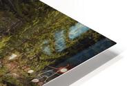 IMG 9153 HD Metal print