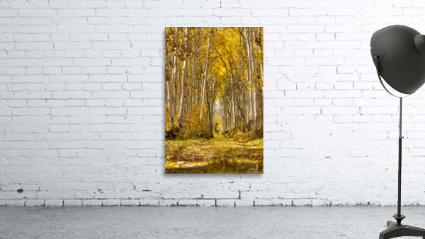 Autumns Path Wall Preview