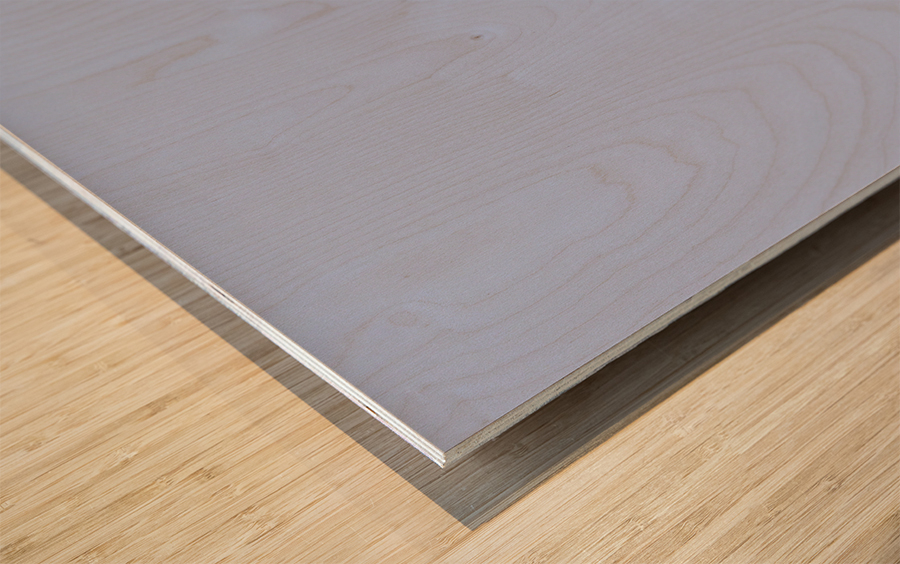 White Stallion  Wood print
