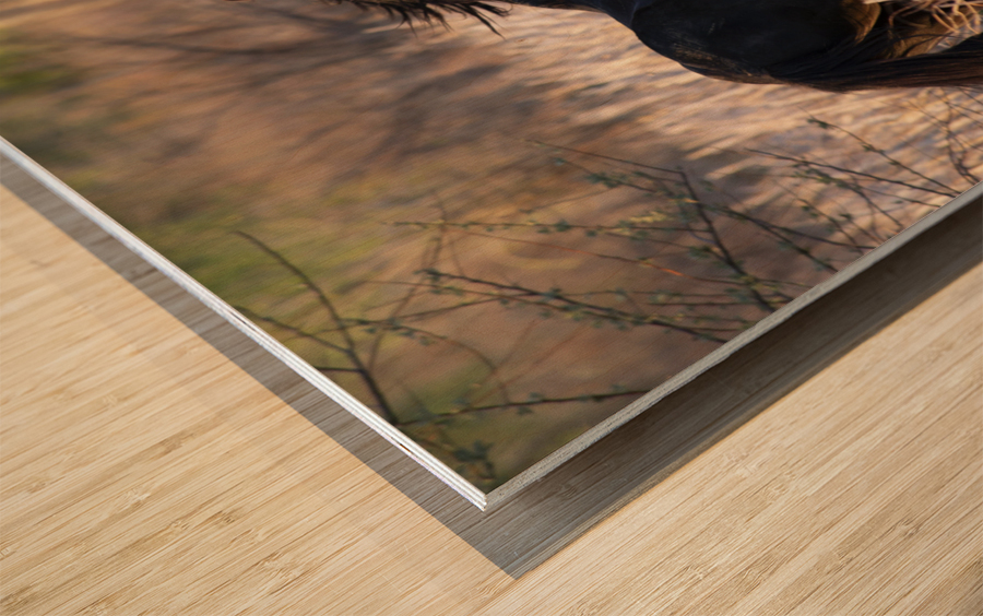 Spirit Wood print