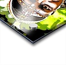 African Acrylic print