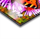 Butterfly Acrylic print