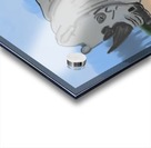 Rhino Acrylic print