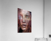 Blue Eyes Acrylic Print