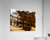 Elephants Marching Acrylic Print