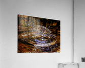 Splash Acrylic Print