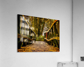 The Bridge Acrylic Print