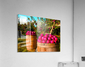 Orchard Acrylic Print