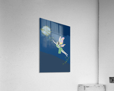 Fairy Acrylic Print