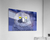 snow owl Acrylic Print