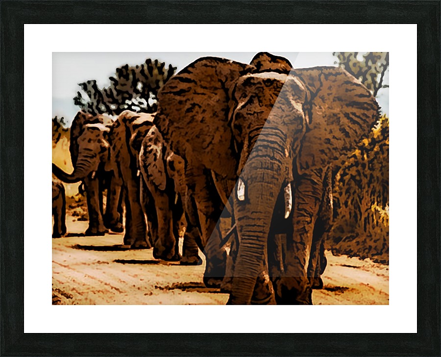 Elephants Marching Picture Frame print