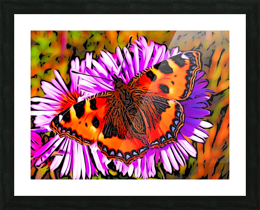 Butterfly Picture Frame print