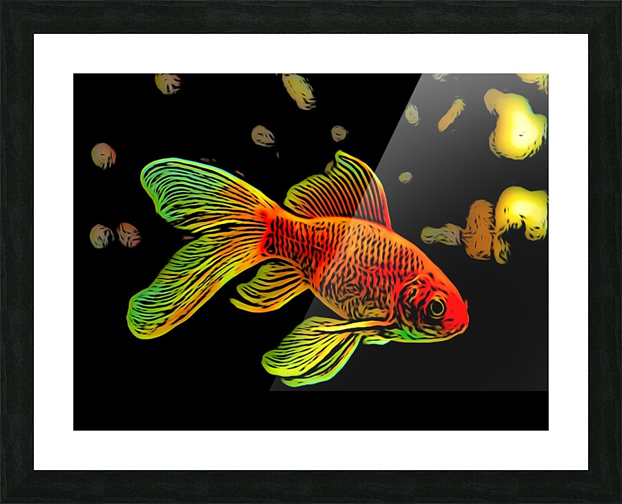 Goldfish Picture Frame print
