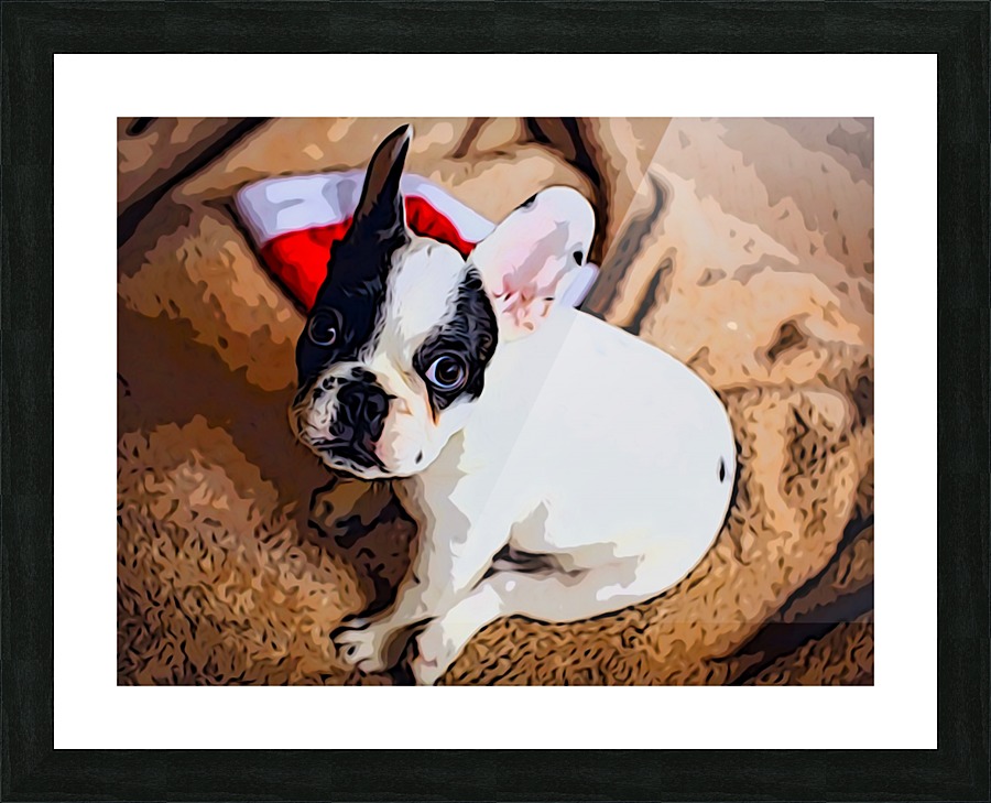 Hungry Picture Frame print