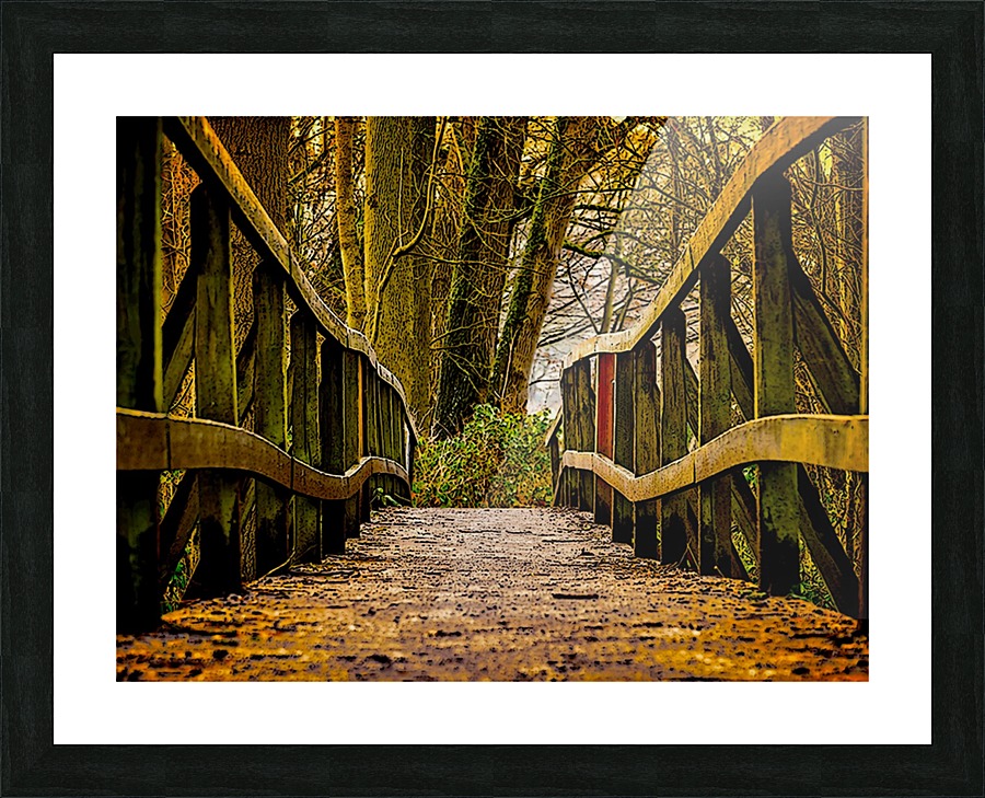 The Bridge Picture Frame print