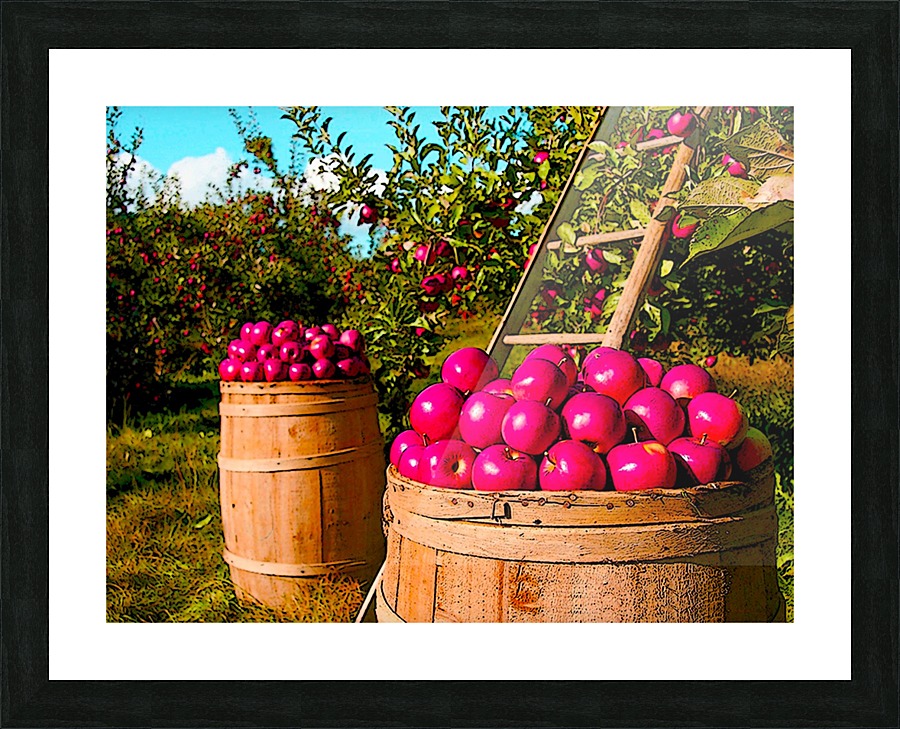 Orchard Picture Frame print