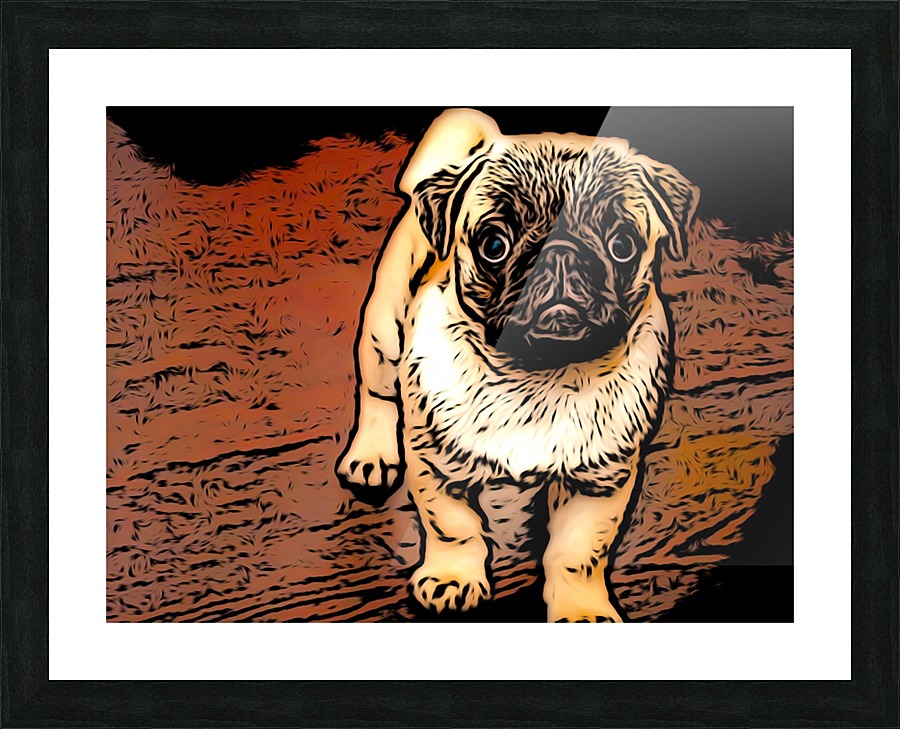 Pug Puppy Picture Frame print