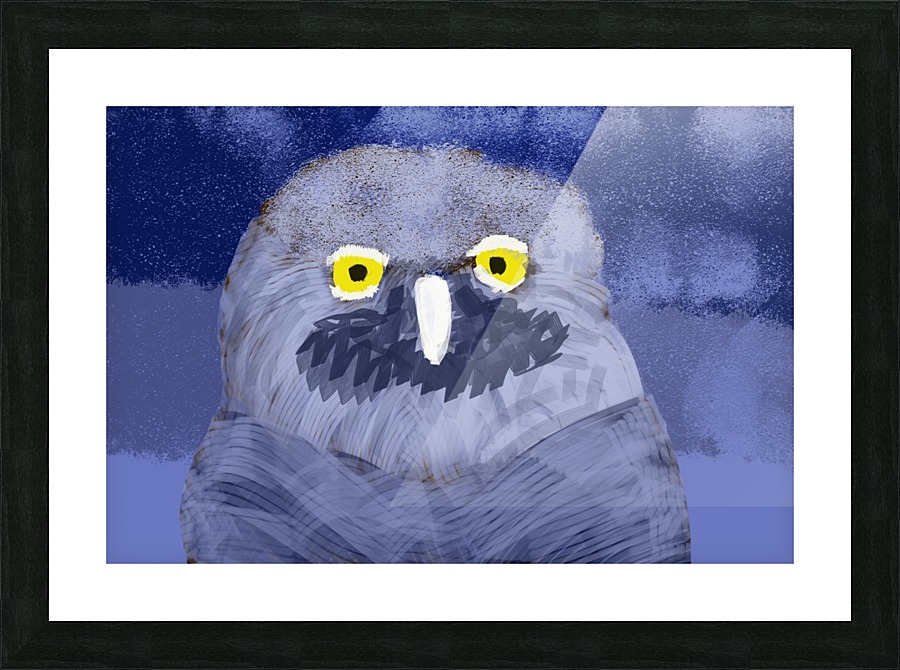 snow owl Picture Frame print