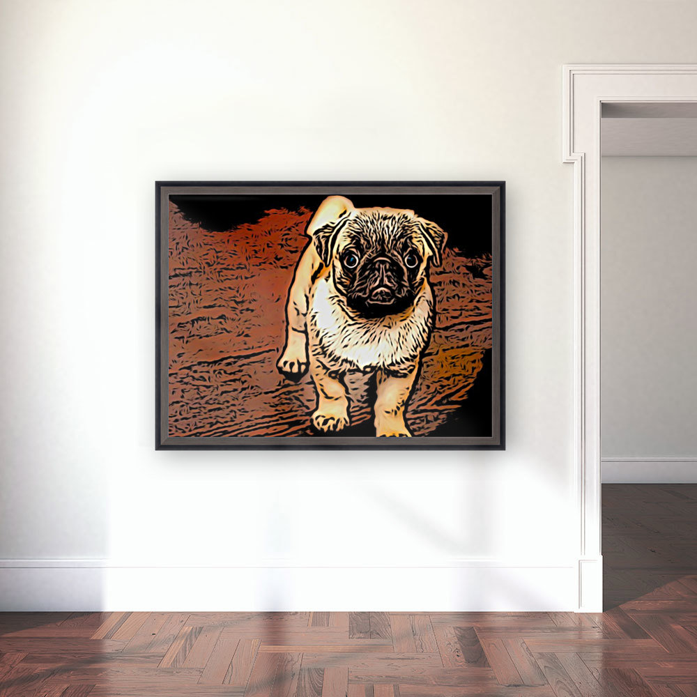 Pug Puppy Reproduction
