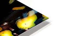 Goldfish HD Metal print