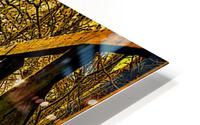 The Bridge HD Metal print