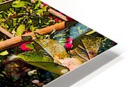 Orchard HD Metal print