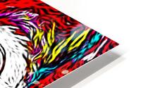 CurvesColor HD Metal print