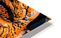 Squint HD Metal print