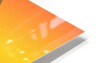 Peach HD Metal print