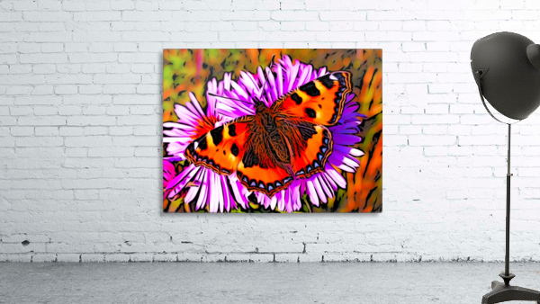 Butterfly Wall Preview