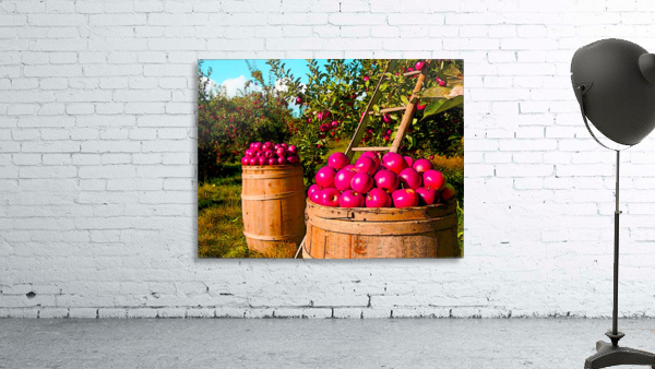 Orchard Wall Preview