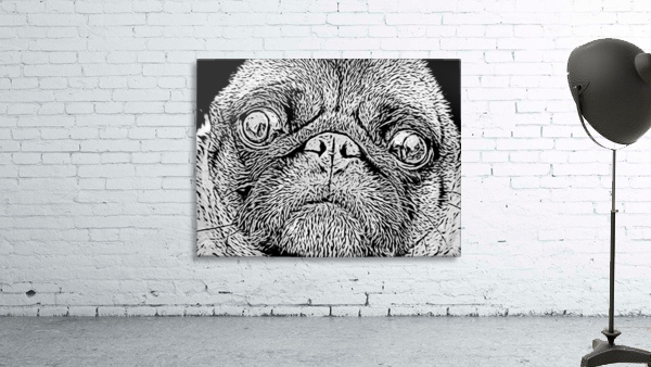 Pug Wall Preview