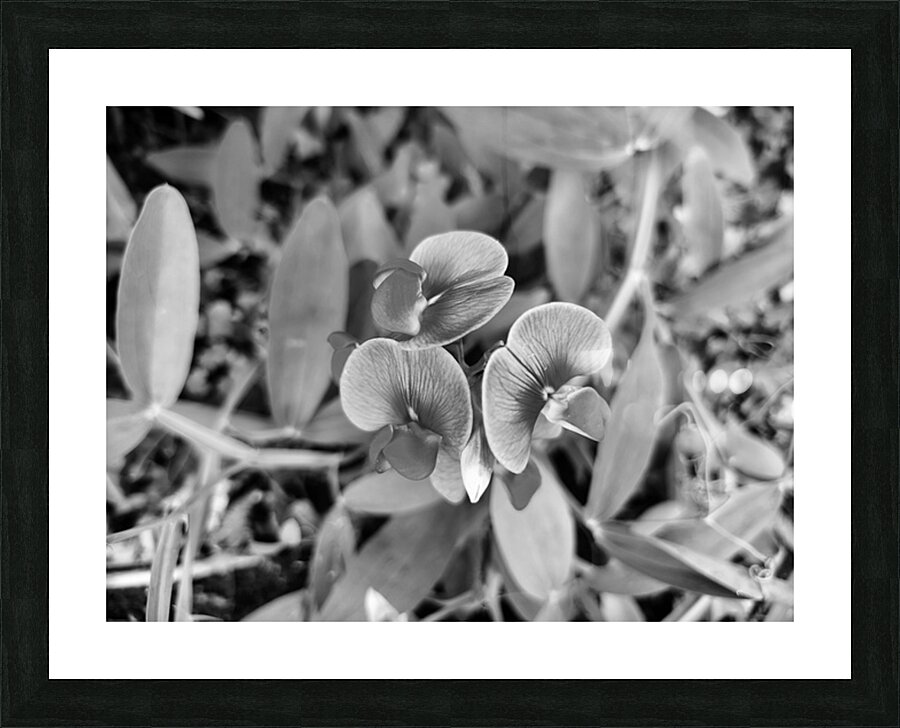 A Rip Through Time  Picture Frame print