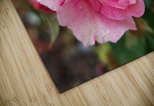 Impeccable Rain  SCTBuffaloPhoto puzzle