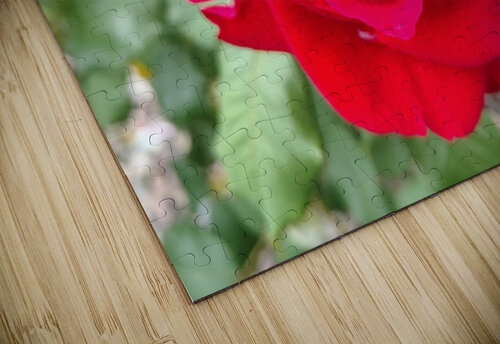 In Love  SCTBuffaloPhoto puzzle