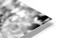 Magnitude  HD Metal print