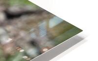 Water Refractions  HD Metal print