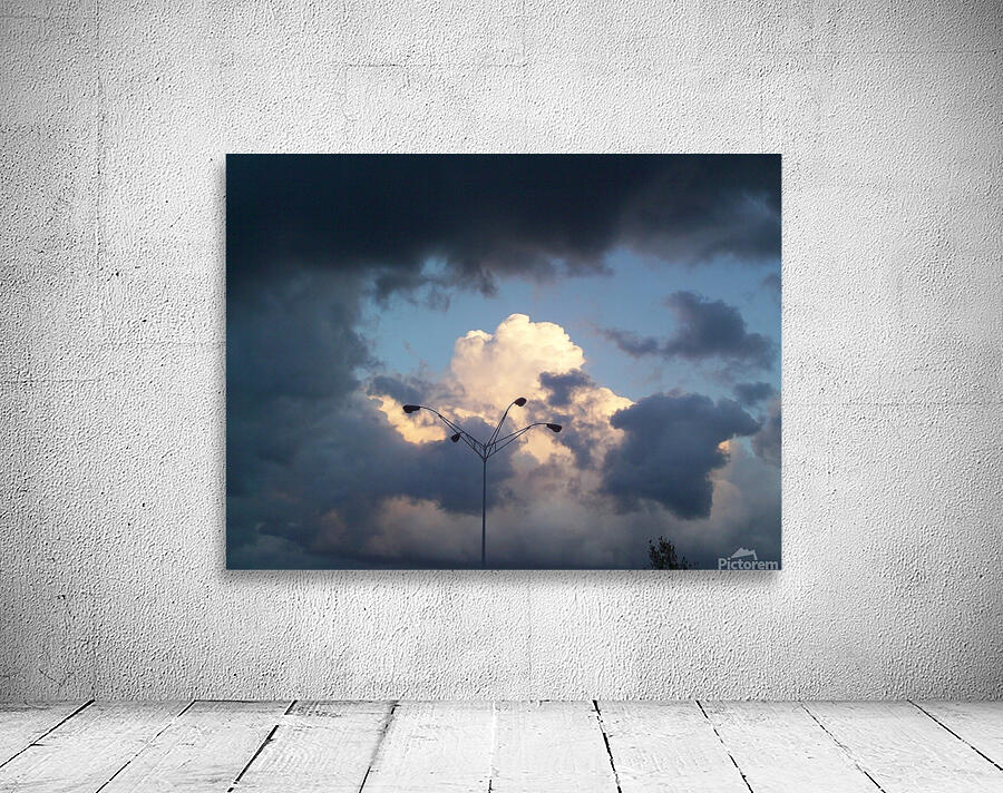 Beautiful Contrast  Wall Preview