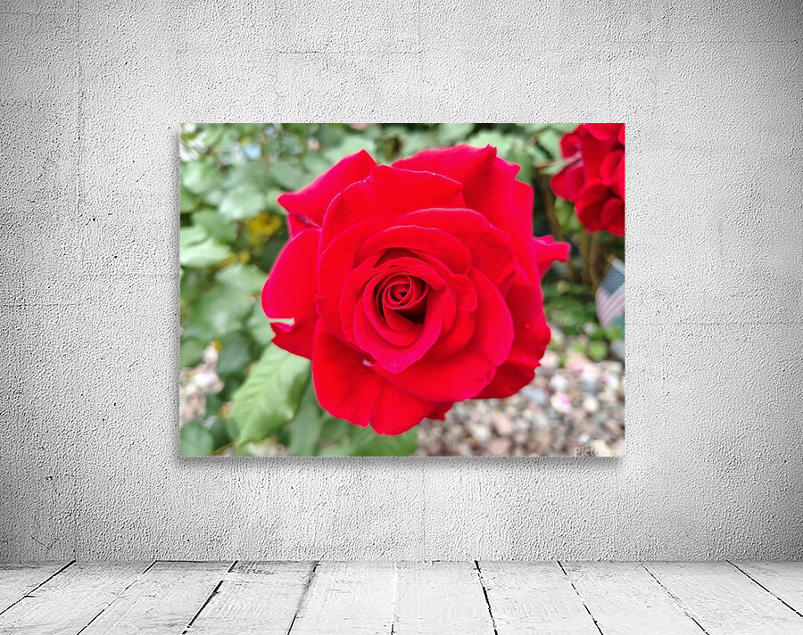 In Love  Wall Preview