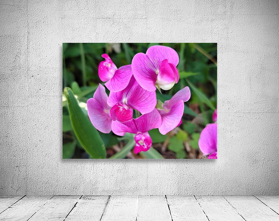 Designed to Dazzle  Wall Preview