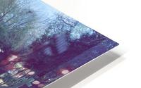 IMG_7089 HD Metal print