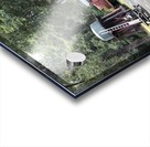 Skunk Train Acrylic print