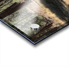 Favorite Stick Acrylic print