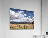 Fields of Clouds Acrylic Print